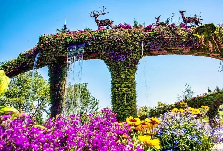 「第十届中国花卉博览会门票」崇明丨116元抢单人门票!